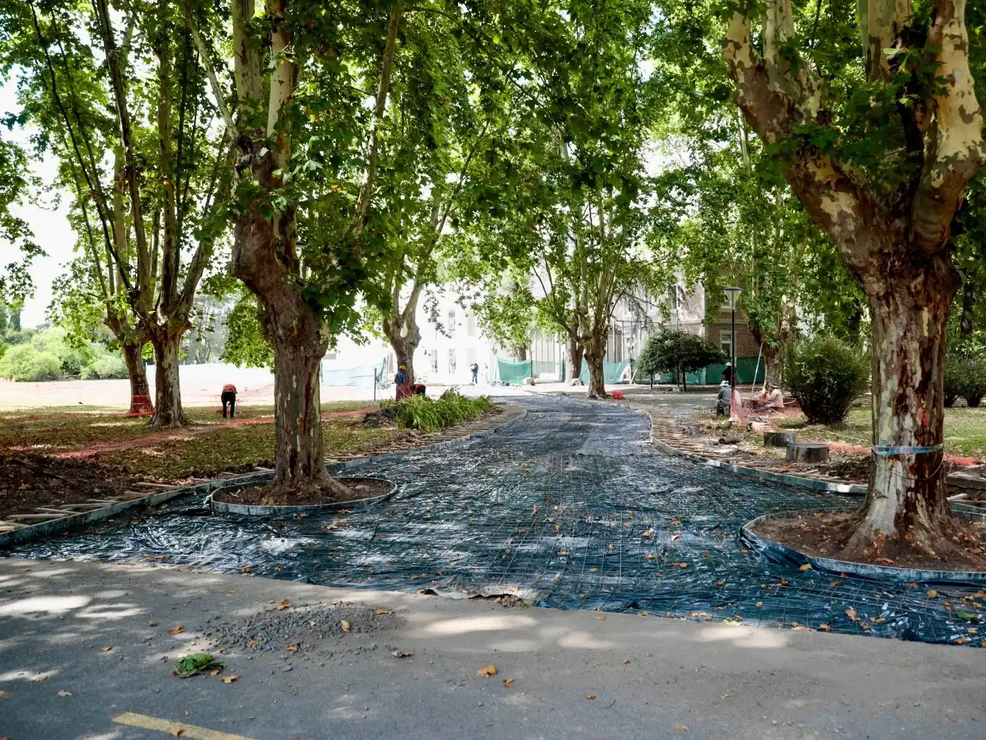 universidad de pilar