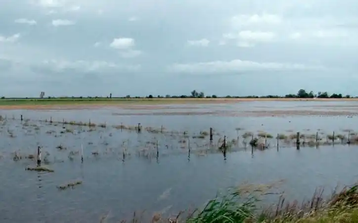 La creciente del Paraná empieza a encender alertas en Entre Ríos