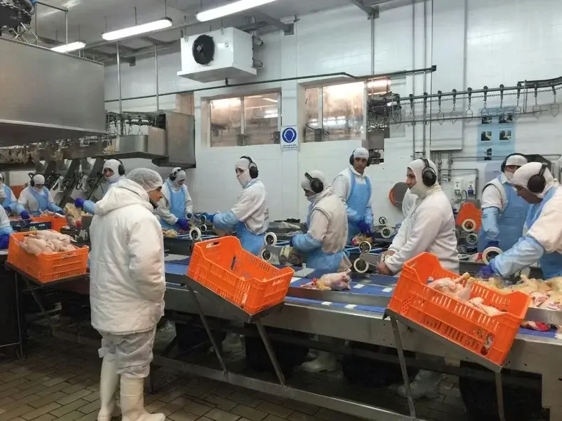 Los despidos permanecen suspendidos debido a la intervención del Ministerio de Trabajo bonaerense.