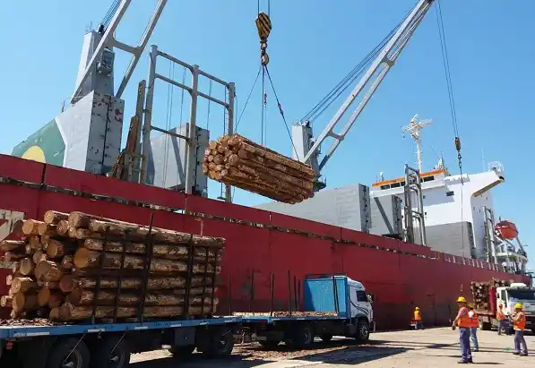Con embarques a China, Entre Ríos retoma la exportación de madera
