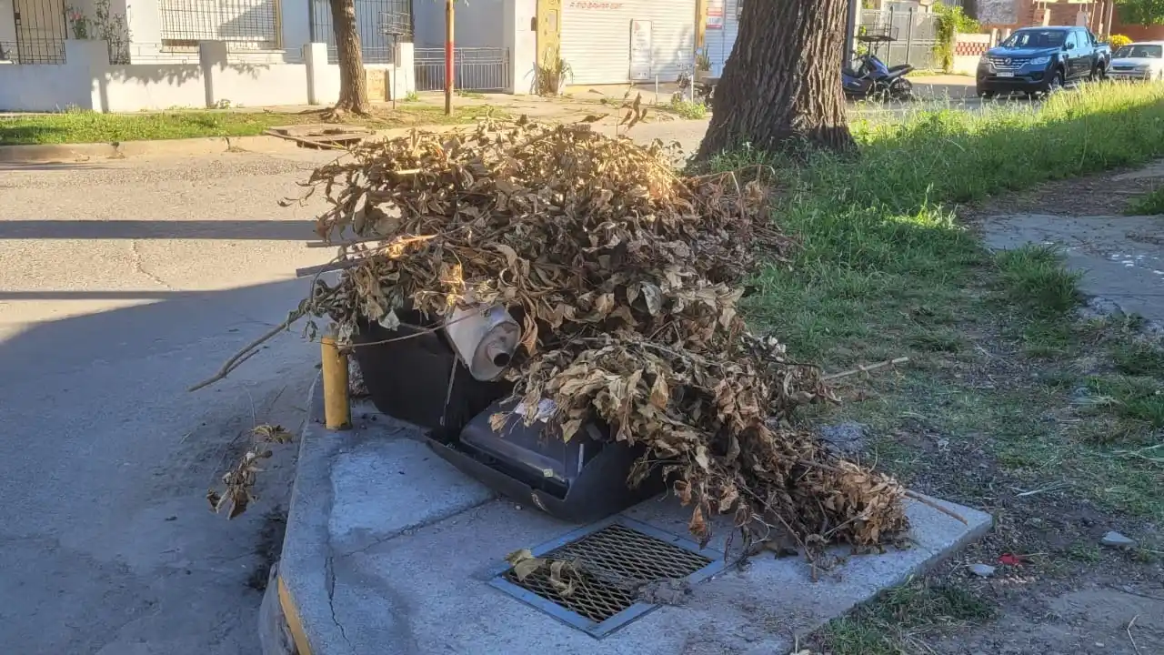 Los restos de poda corren por cuenta del vecino, que debe embolsados para que sean levantados por Ashira.