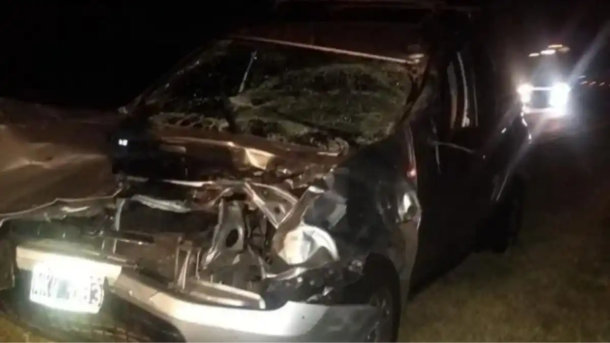 Autopista a Santa Fe – Rosario: automovilista chocó contra un caballo