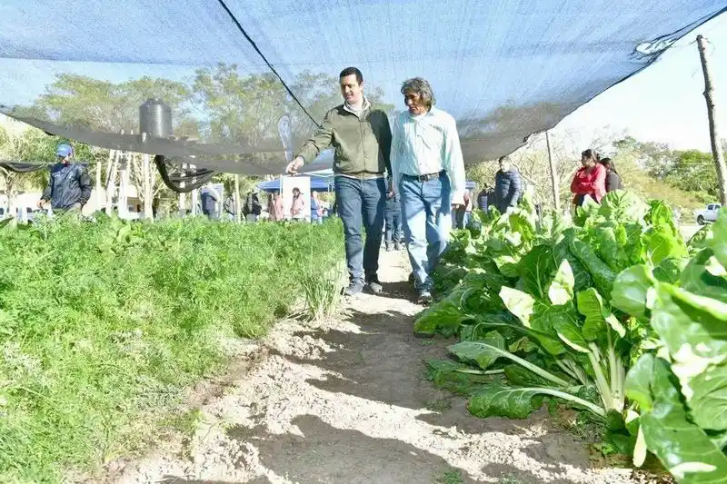 El vicegobernador Solís encabezó jornada de
asistencia agrícola a pequeños productores
