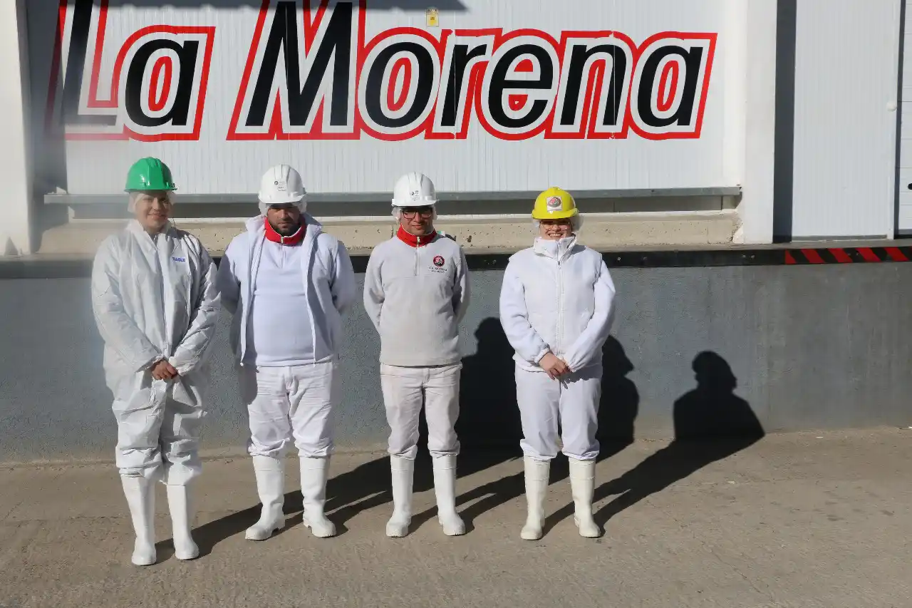 la morena - 1