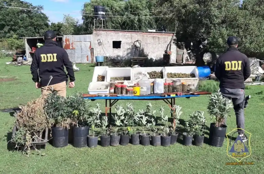 Detienen a un hombre con un arsenal, marihuana y herramientas robadas