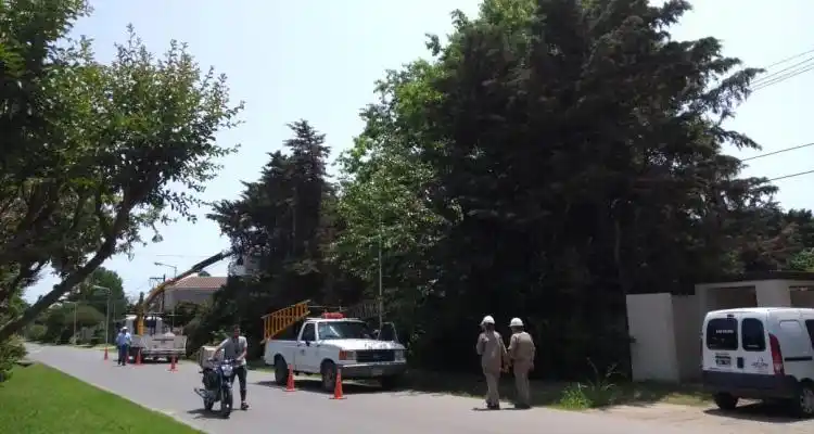 Apagón y electrodomésticos quemados en la zona de Crucero General Belgrano y Caseros