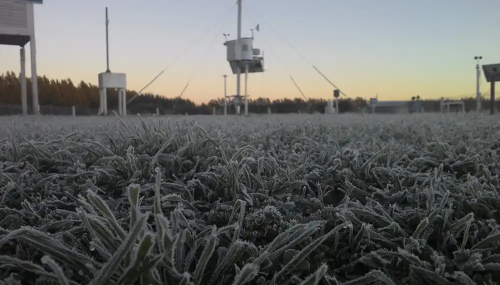 Ingresa una masa de aire polar y prevén heladas en todo el centro-norte del país