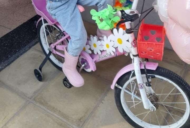 Esta bicicleta de niña fue sustraída del interior de una casa. Saltaron una reja de cuatro metros.