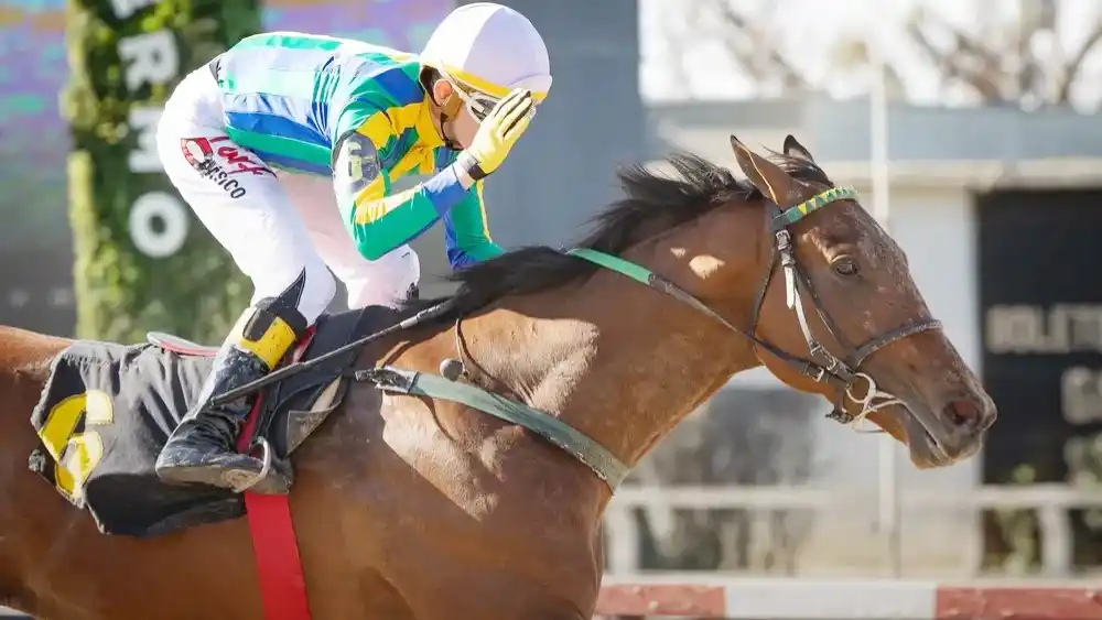 Blue Caviar es el favorito para alzarse con el Gran Premio Nacional (G1), cierre de la Triple Corona del turf argentino.