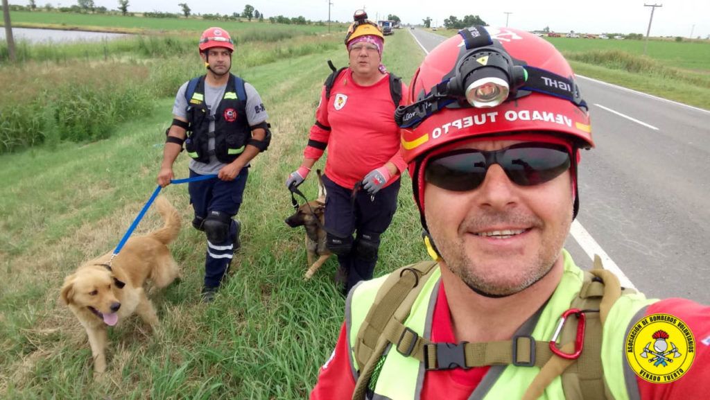 perros bomberos - 1