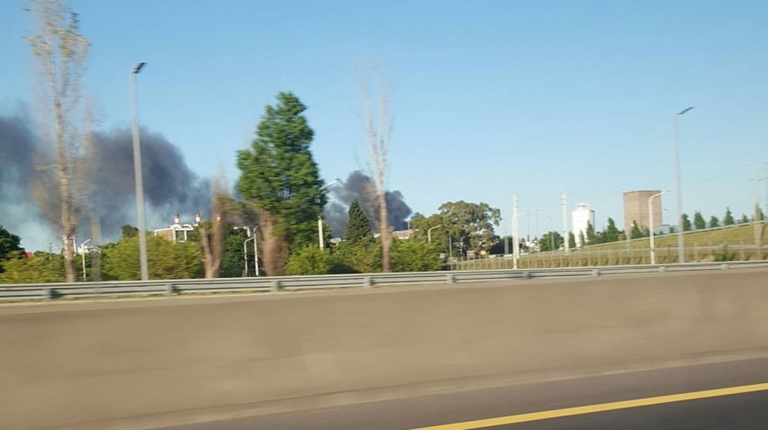 Voraz incendio en un depósito de cartón y diarios en Bernal 