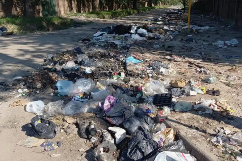 Continúa la limpieza y erradicación de microbasurales