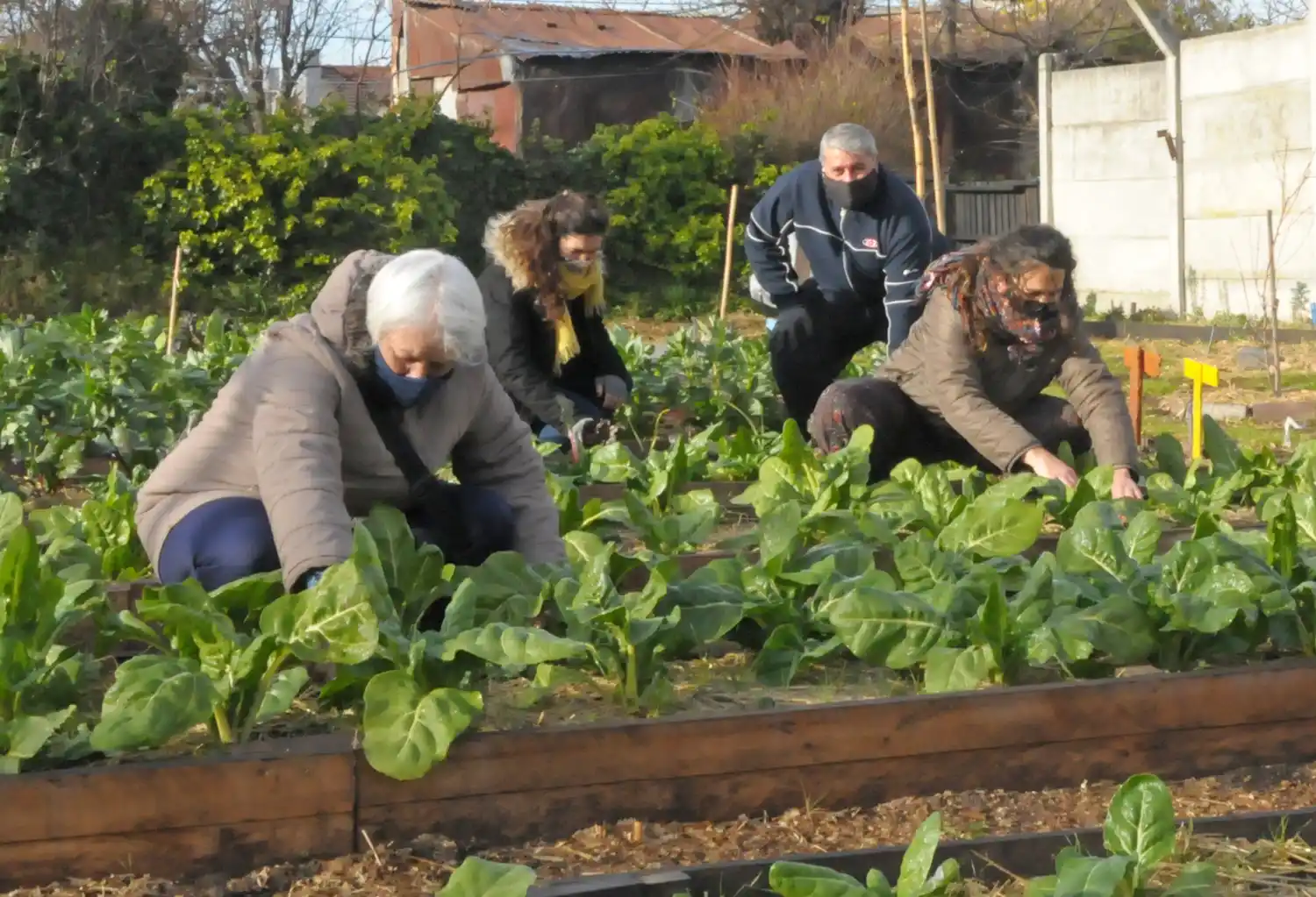 Huerta comunitaria  villa aguirre 30-06-21 (4)