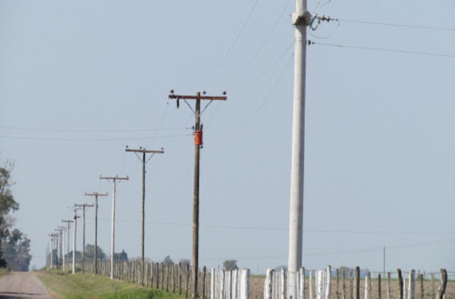 Advierten daños en redes eléctricas causados por incendios en varias regiones de la provincia