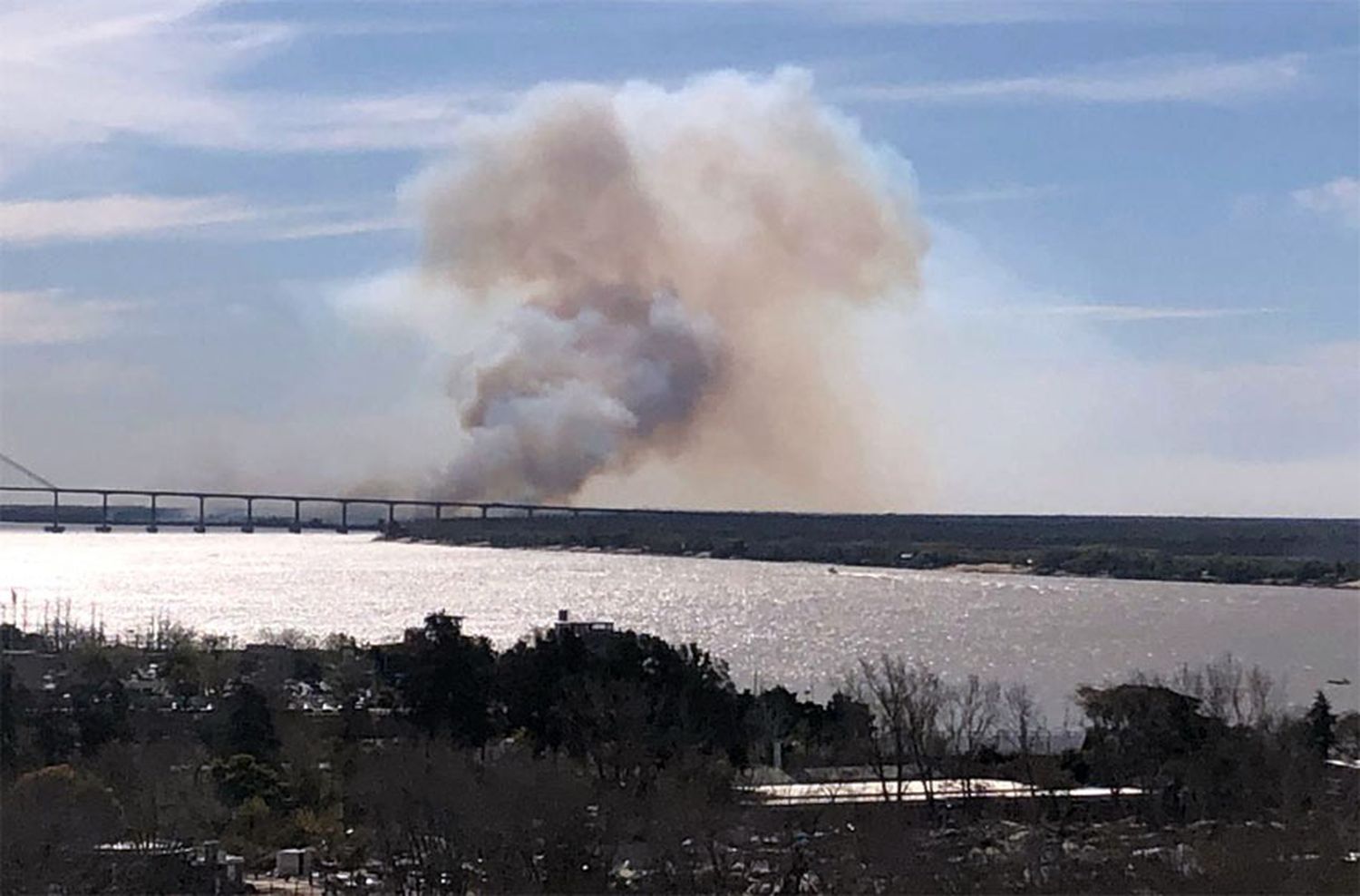 Fuego en las islas: Javkin señaló que las quemas “probablemente tengan un interés inmobiliario”