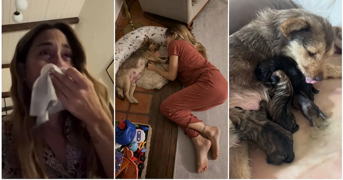 Jimena Barón se convirtió en abuela tras el parto de su perra Lucy
