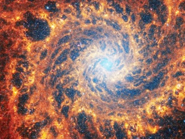 “Mirando el cielo, admiramos la belleza del Creador”, dijo León XIV a los astrónomos