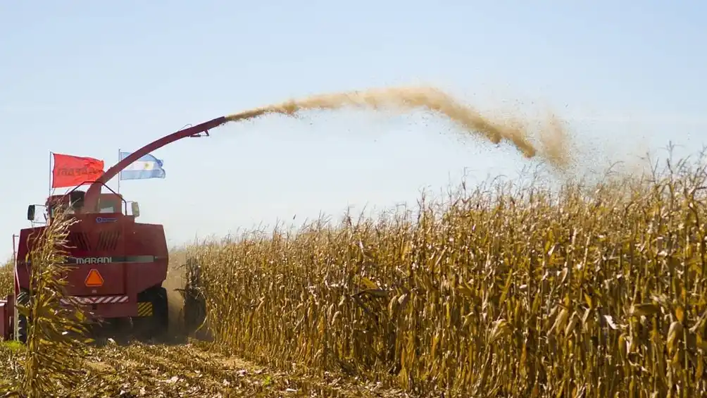 Prevén que “El Niño” alcanzará su plenitud en el verano