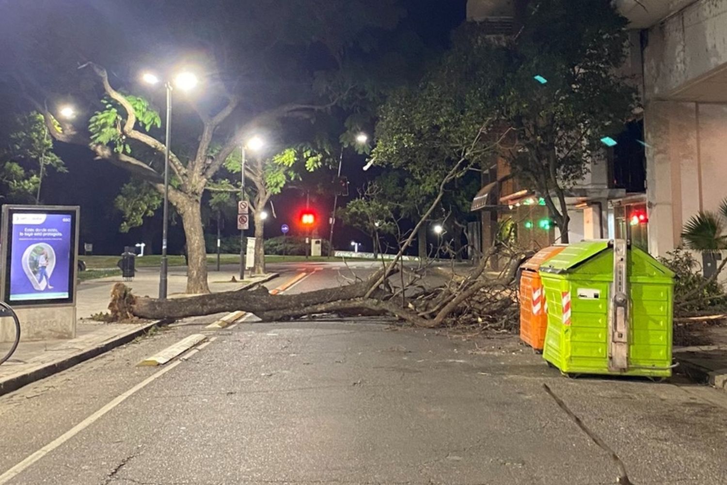 Jornada ventosa en Rosario: "No alcanza para el umbral de alerta pero puede generar incidentes"