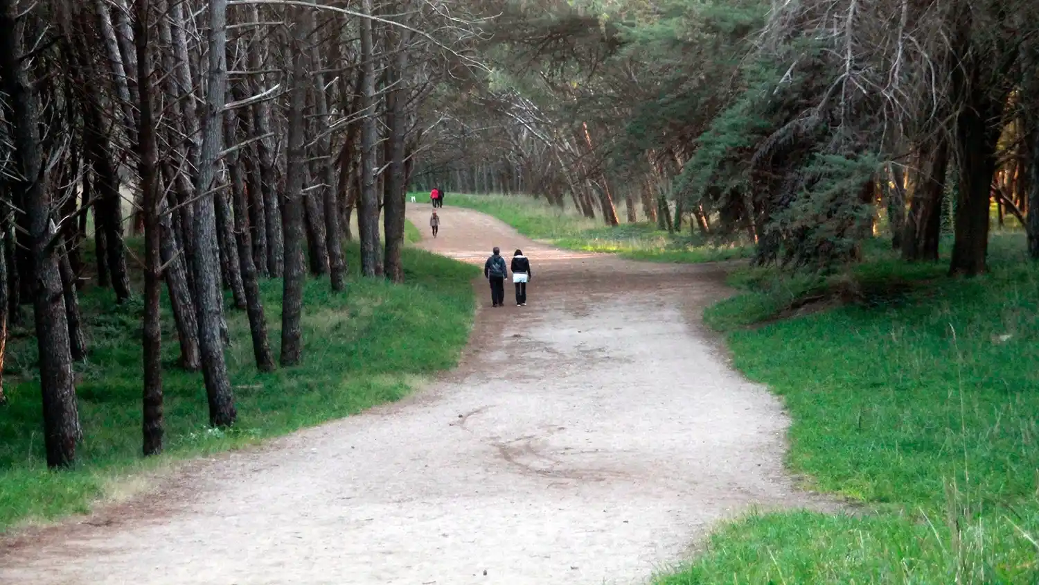 Inspirador. Para las charlas de esta tarde será el Parque