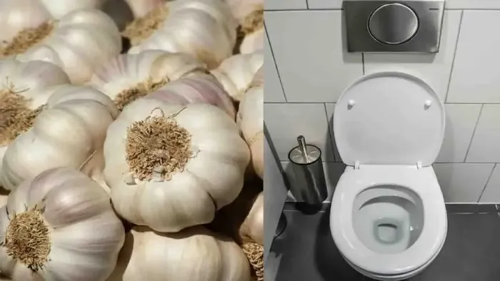 diente de ajo en el inodoro - 1