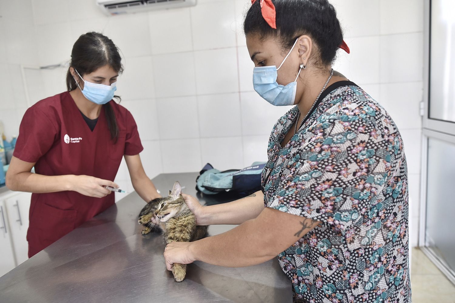 En dos años, más de 36.000 animales de compañía fueron vacunados contra la rabia en la ciudad de Santa Fe