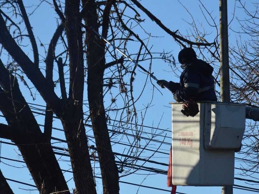 Trabajo de poda en altura en diferentes barrios.