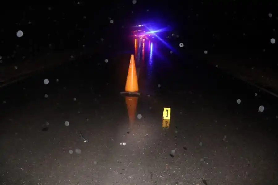 Tremendo: un hombre chocó contra un cerdo, salió despedido casi 30 metros y murió