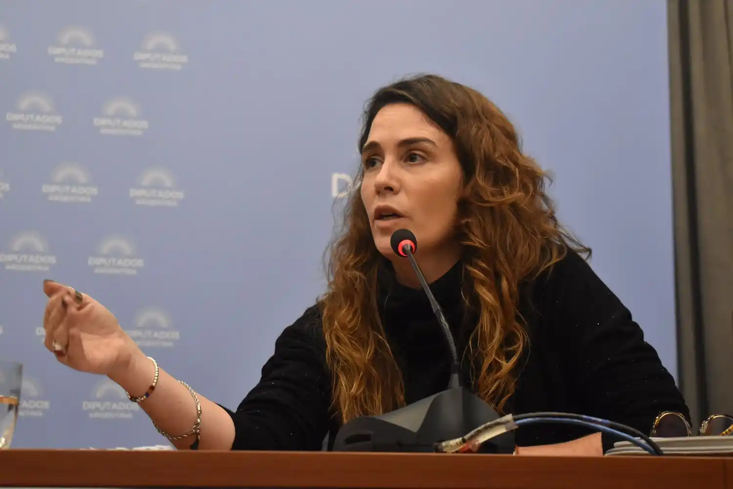 Jimena López, secretaria de Transporte: "Fue muy importante el rol de Massa para resolver el conflicto con las empresas"