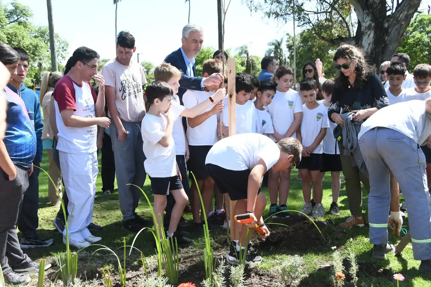 dia internacional de las personas con discapacidad