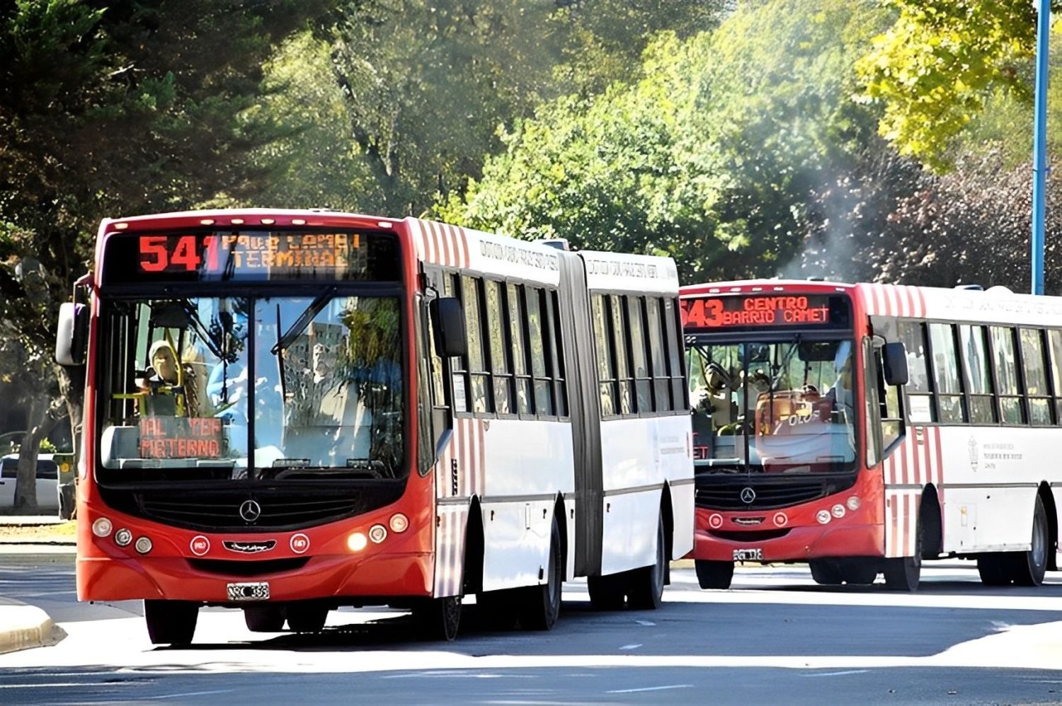 Los intendentes de Mar del Plata y otras localidades del país declaran su transporte en “emergencia económica”.