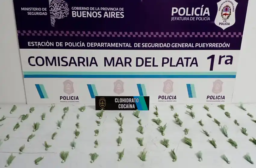 Cocaína y marihuana en una casa allanada luego de un robo de dos bicicletas