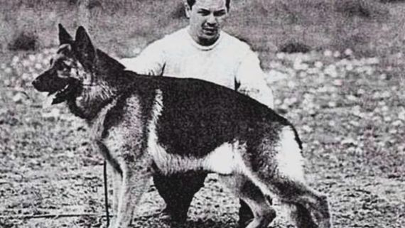 Día Nacional del Perro: la historia de Chonino