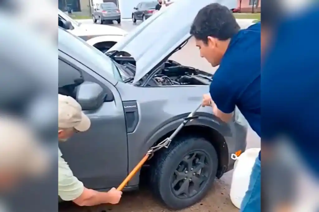 El animal se ocultó en el guardabarros, lo que motivó la intervención de los bomberos.