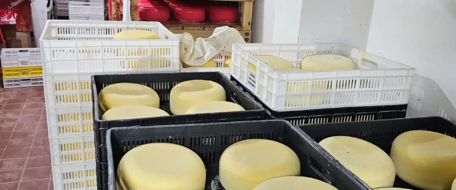 La provincia se prepara para participar del primer Concurso Nacional de Quesos, Manteca y Dulce de Leche