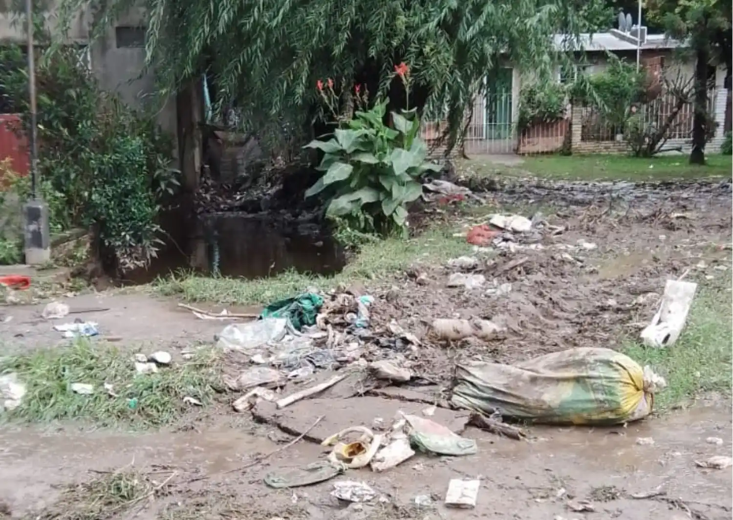 Así quedó la zona después que el agua bajó. Foto: La Opinión.