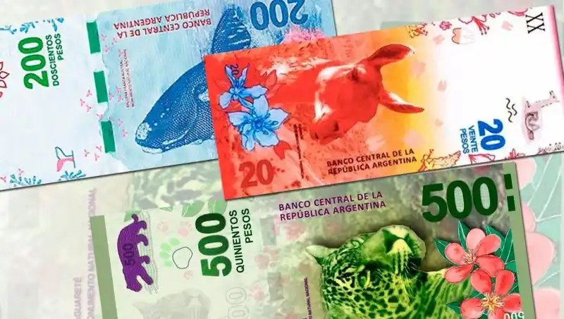 El nuevo billete de $20 tendrá un guanaco como imagen distintiva
