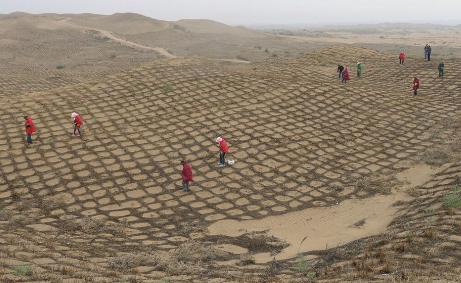 En China convirtieron un desierto en oasis