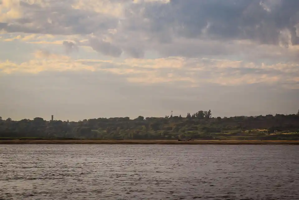 Prohíben la exportación de pescados de río por la bajante del Paraná