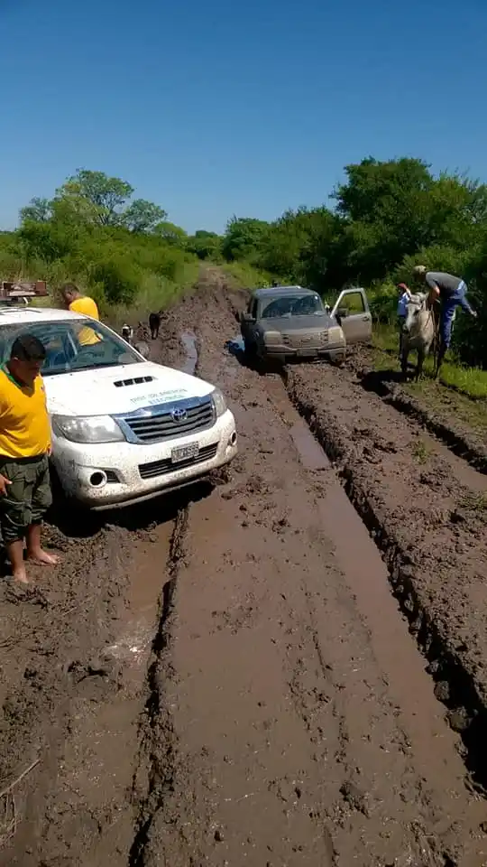 El Inta analizó las causas de las inundaciones en el Litoral