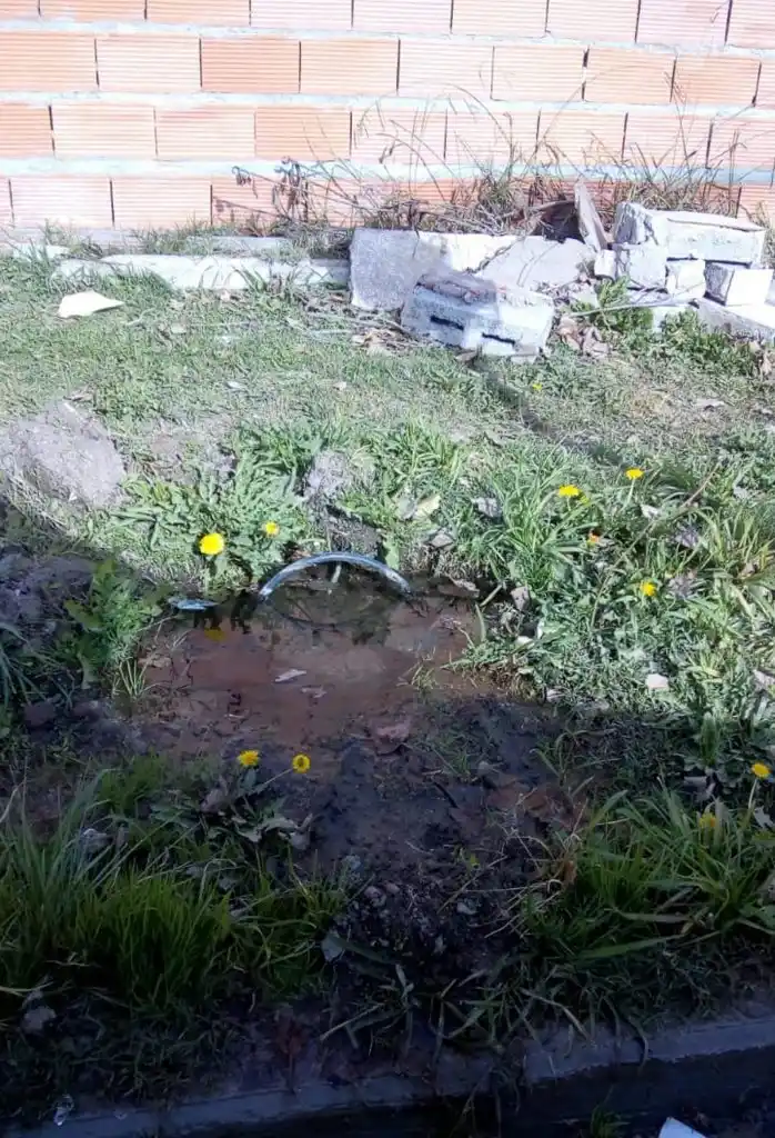 No se queje si no se queja