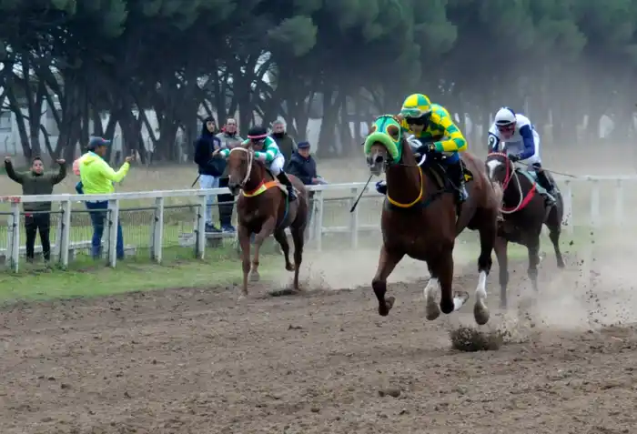 Diputados avaló la inclusión del trote en la Ley de Turf