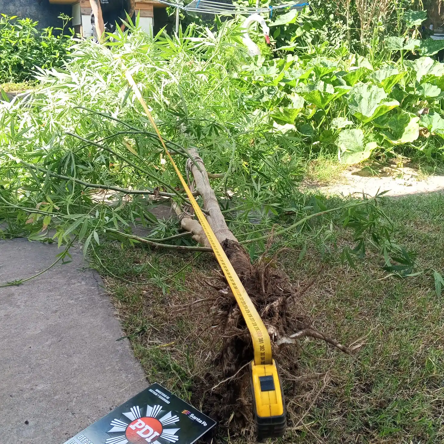 bicicletas robadas esperanza - 2