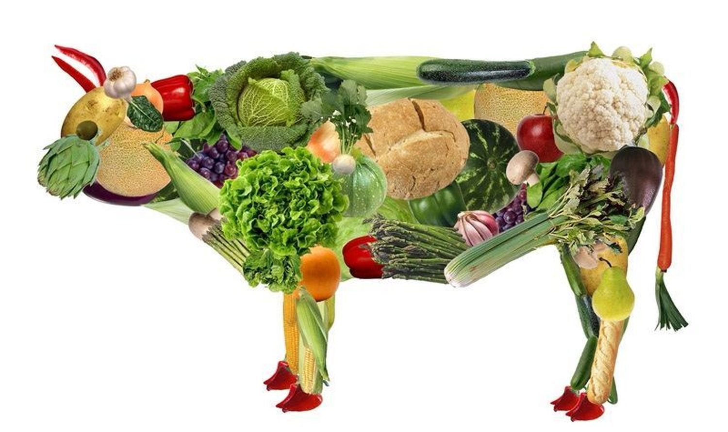 El veganismo como filosofía de vida 