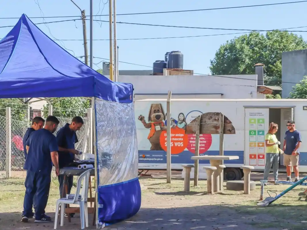 Continúan las castraciones gratuitas a perros y gatos: el cronograma de la semana