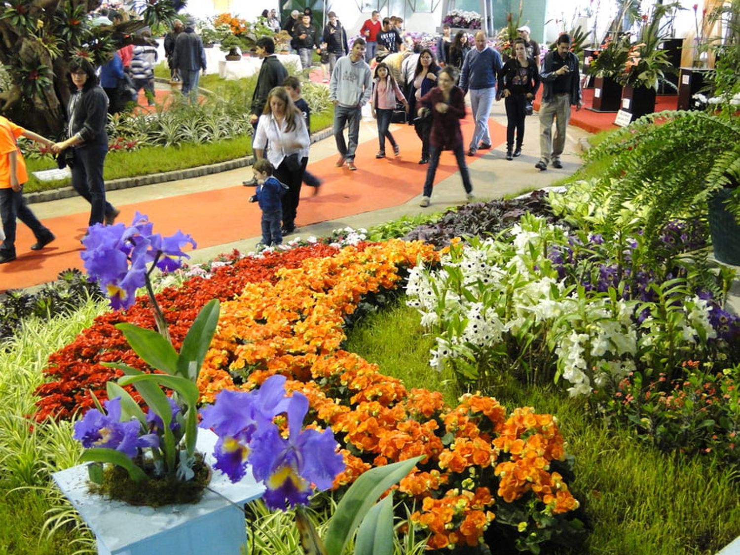 60º Fiesta Nacional de la Flor en Escobar