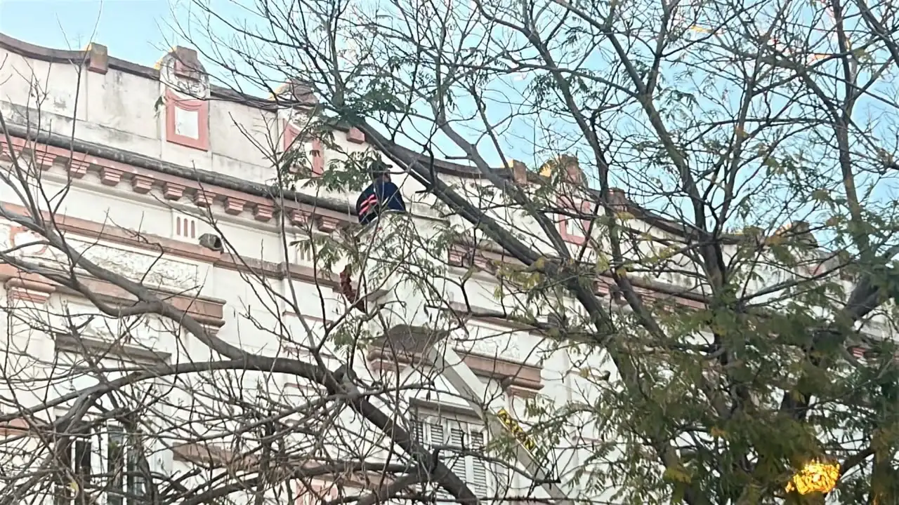Media calzada obstruida por tareas de poda en pleno centro de Rafaela - 1