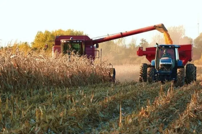 Crean programa para asesorar a productores agropecuarios en tecnología y economía