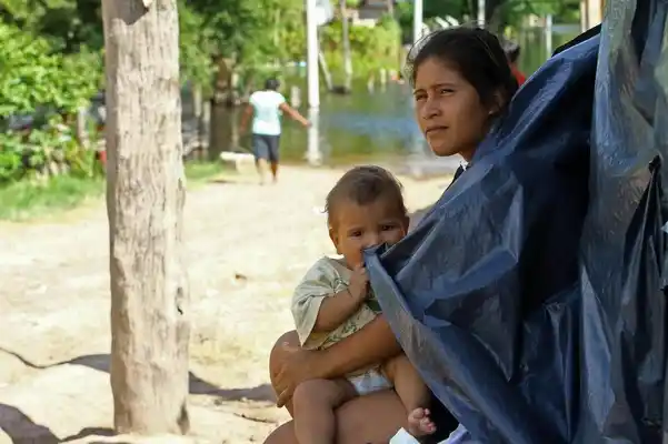 Inundaciones: Greenpeace apunta contra la deforestación 