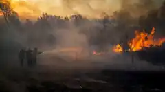 Defensa Civil emitió un alerta por el alto riesgo de incendios en Tandil